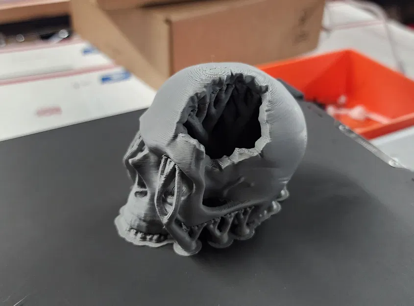 Hộp Sọ “Major Headache Skull” - Image 9