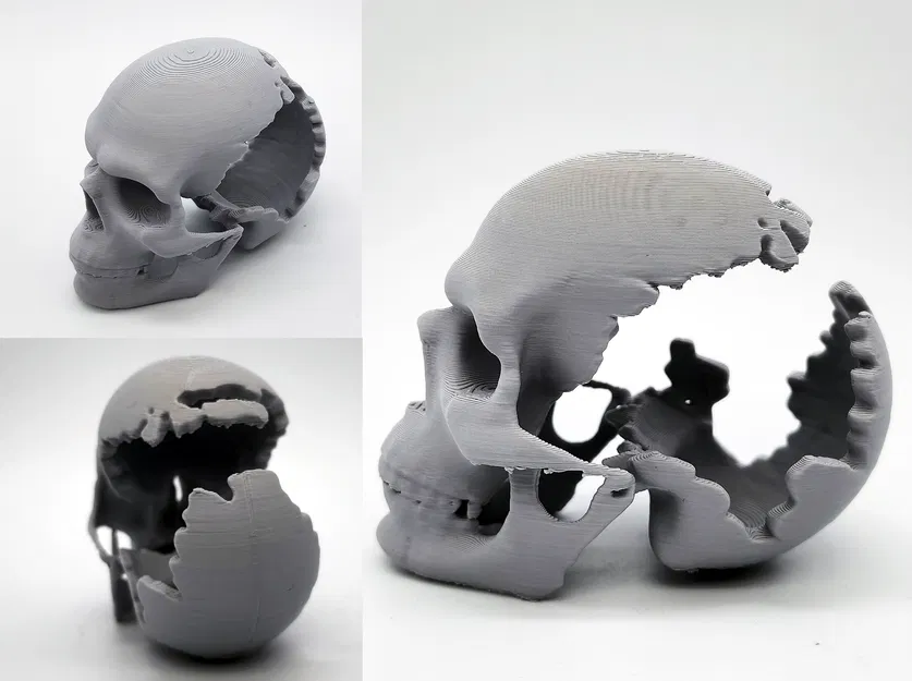 Mô hình Đầu Lâu Vỡ Độc Đáo - In 3D Dễ Dàng - Image 1