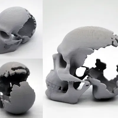 Mô hình Đầu Lâu Vỡ Độc Đáo - In 3D Dễ Dàng