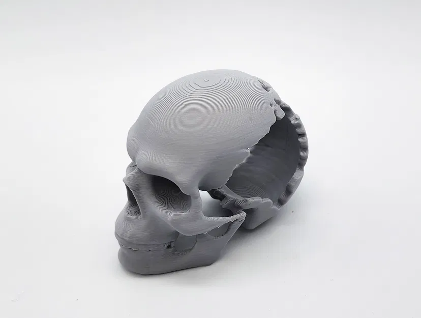 Mô hình Đầu Lâu Vỡ Độc Đáo - In 3D Dễ Dàng - Image 2