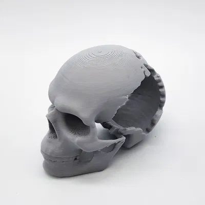 Mô hình Đầu Lâu Vỡ Độc Đáo - In 3D Dễ Dàng