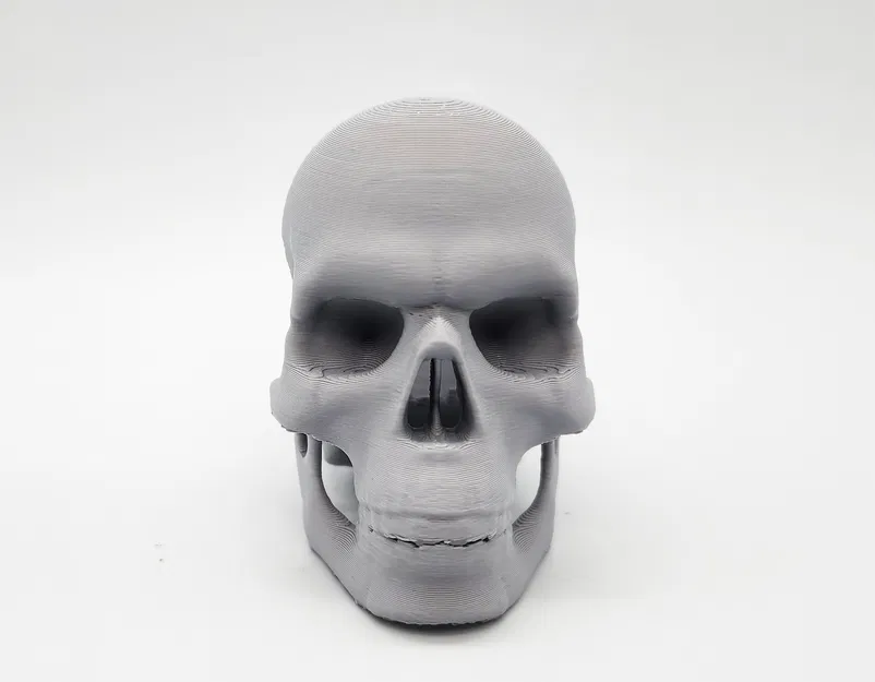 Mô hình Đầu Lâu Vỡ Độc Đáo - In 3D Dễ Dàng - Image 3