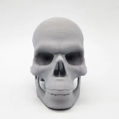 Mô hình Đầu Lâu Vỡ Độc Đáo - In 3D Dễ Dàng