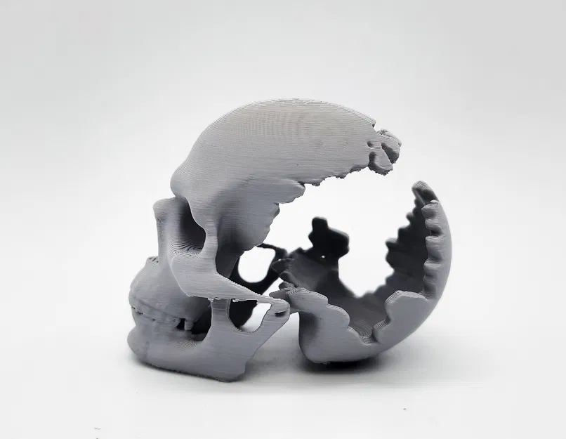 Mô hình Đầu Lâu Vỡ Độc Đáo - In 3D Dễ Dàng - Image 5