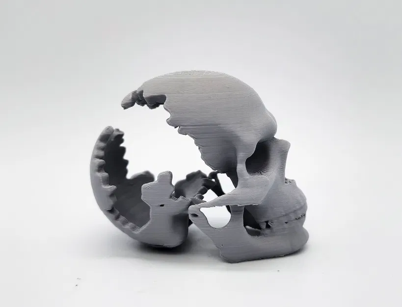 Mô hình Đầu Lâu Vỡ Độc Đáo - In 3D Dễ Dàng - Image 6