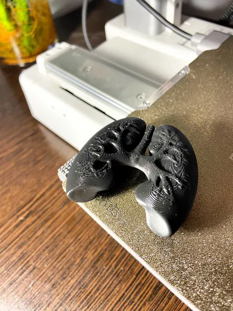 Mô Hình Phổi Người 3D Chân Thực, Sắc Nét - Image 1