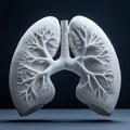 Mô Hình Phổi Người 3D Chân Thực, Sắc Nét - Thumbnail 2