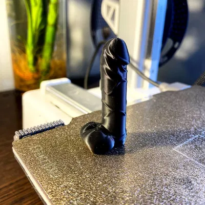 Mô Hình "Của Quý" 3D Độc Đáo - Dễ In