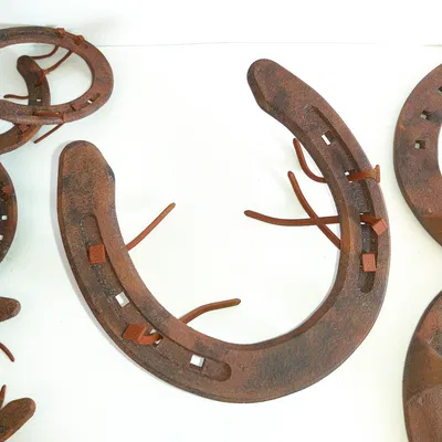 Móng ngựa (Horseshoe) trang trí