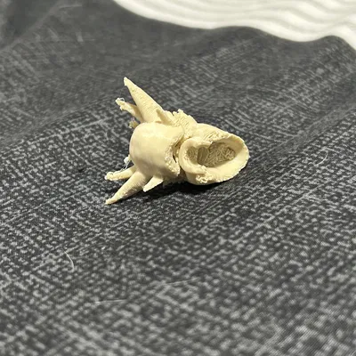 Đầu Rồng Dummy 13 - Mô Hình In 3D Độc Đáo