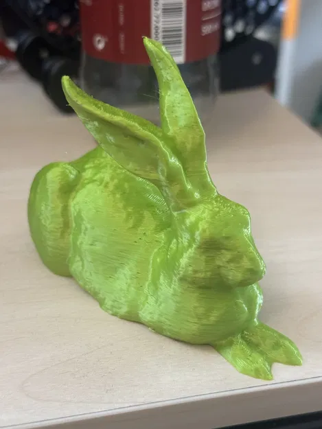 Mô Hình Thỏ Dürer (Dürerhase) Nghệ Thuật In 3D - Image 2