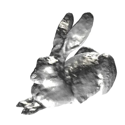 Mô Hình Thỏ Dürer (Dürerhase) Nghệ Thuật In 3D 5