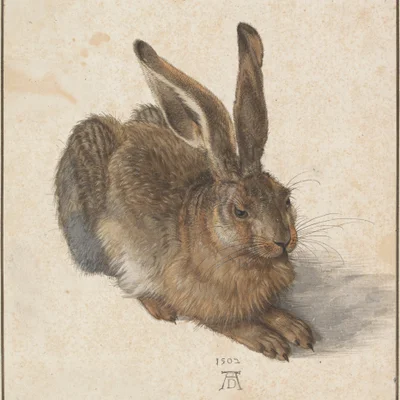 Mô Hình Thỏ Dürer (Dürerhase) Nghệ Thuật In 3D 7