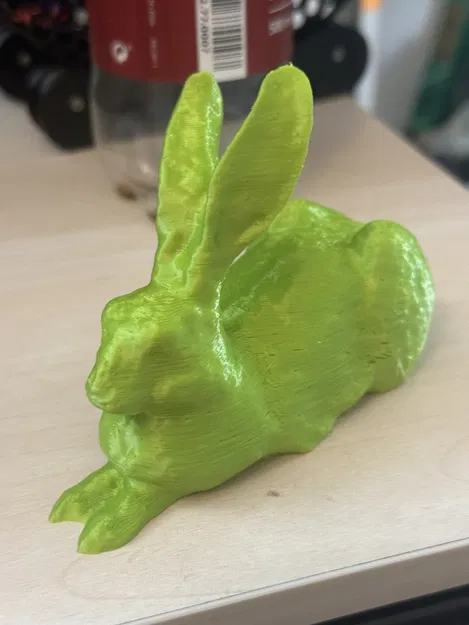 Mô Hình Thỏ Dürer (Dürerhase) Nghệ Thuật In 3D - Image 8