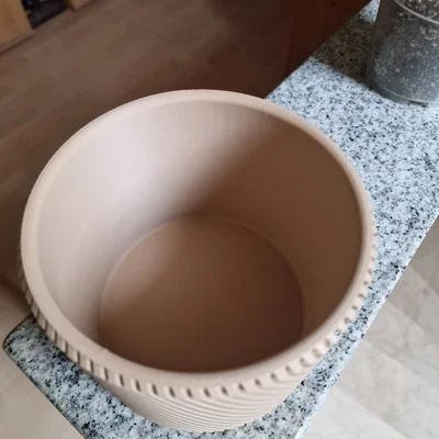 Chậu Cây Xoắn Ốc 3D - Trang Trí Độc Đáo Cho Chậu 12cm