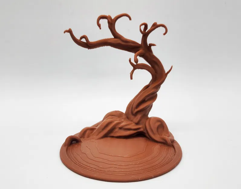 Cây Keo Namibia Treo Trang Sức (Namibian Acacia Jewelry Tree) - Image 2