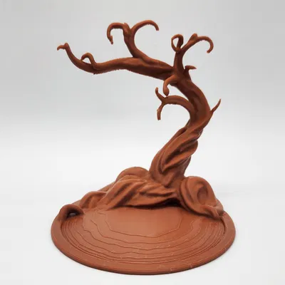 Cây Keo Namibia Treo Trang Sức (Namibian Acacia Jewelry Tree)