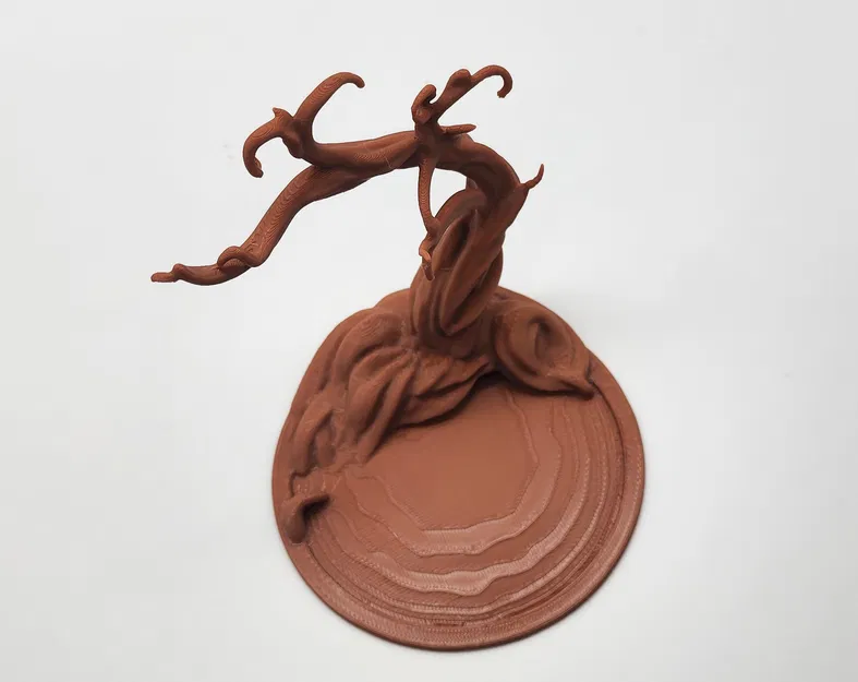 Cây Keo Namibia Treo Trang Sức (Namibian Acacia Jewelry Tree) - Image 3