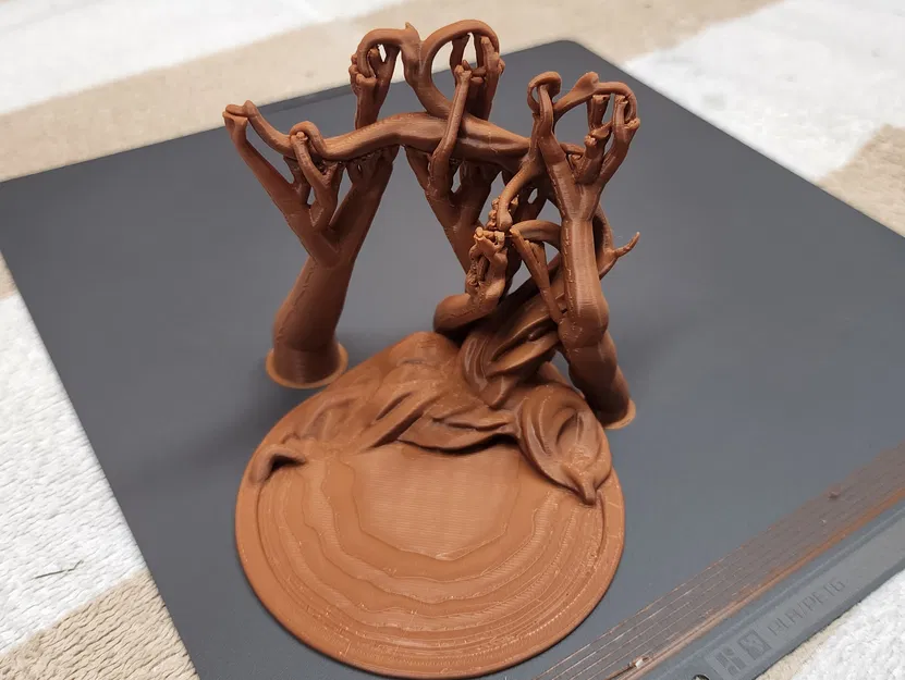 Cây Keo Namibia Treo Trang Sức (Namibian Acacia Jewelry Tree) - Image 5