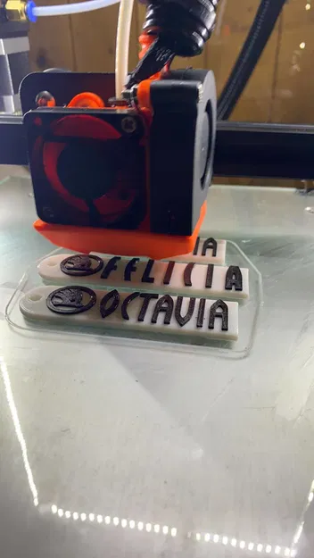 Móc Khóa Xe Skoda Octavia, Superb, Fabia, Felicia - Image 3