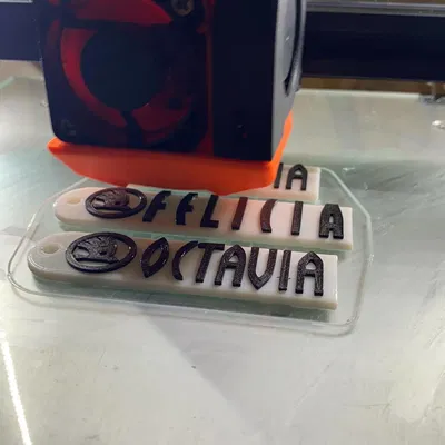 Móc Khóa Xe Skoda Octavia, Superb, Fabia, Felicia