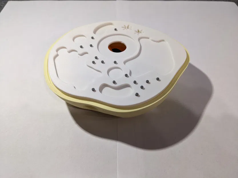 Mô hình tế bào động vật (Animal cell model) - Image 3