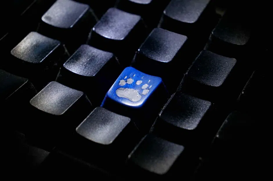 Nút Bàn Phím Hình Dấu Chân Thú Cưng Độc Đáo - Image 5