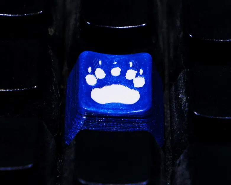 Nút Bàn Phím Hình Dấu Chân Thú Cưng Độc Đáo - Image 6