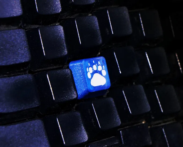 Nút Bàn Phím Hình Dấu Chân Thú Cưng Độc Đáo - Image 7