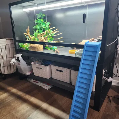 Dốc/Cầu cho Bò Sát (Reptile Ramp/Bridge)