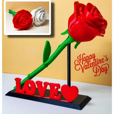 Bông hồng Ngày Valentine