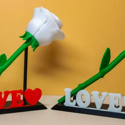 Bông hồng Ngày Valentine