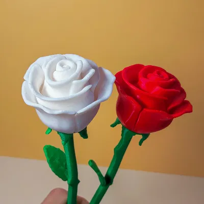 Bông hồng Ngày Valentine