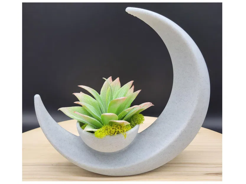 Chậu trồng cây Trăng Lưỡi Liềm (Crescent Moon Planter) - Image 1