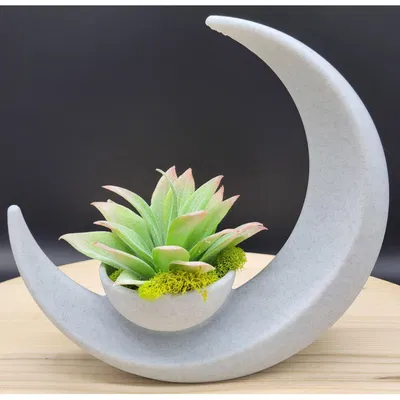 Chậu trồng cây Trăng Lưỡi Liềm (Crescent Moon Planter)