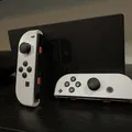 Vỏ Joy-Con Nintendo Switch (Nintendo Switch Joycon Shells) - Thumbnail 1