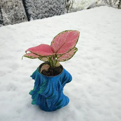 Chậu Hoa "Julia Vase" - Vật Trang Trí Độc Đáo Cho Không Gian