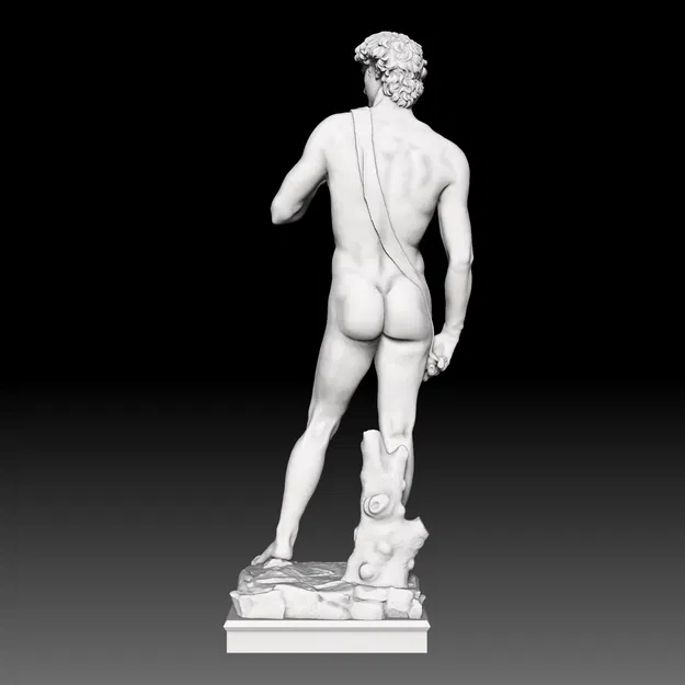 David #RoZ - Image 3