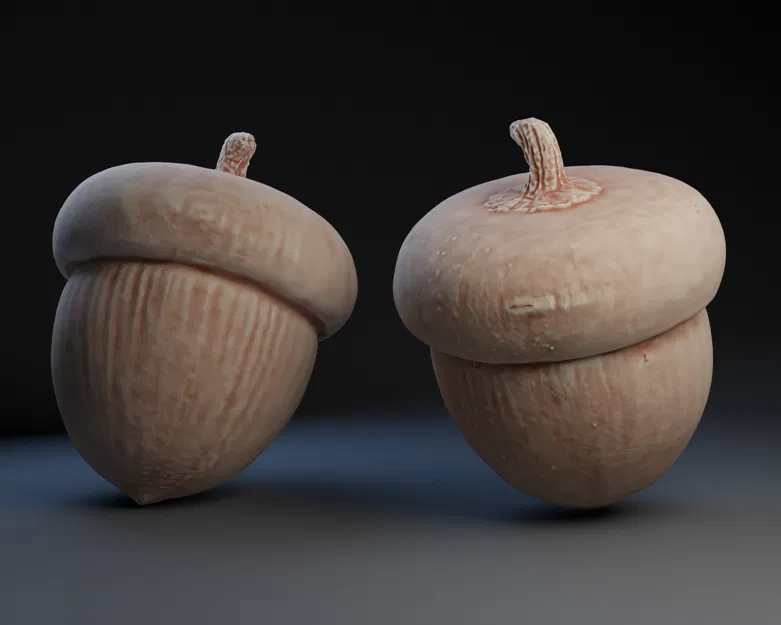 Mô Hình Hạt Dẻ 3D "Acorn" - Trang Trí Độc Đáo - Image 1