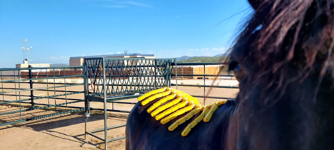 Horse Back Mapper – Dụng cụ đo biên dạng lưng ngựa để canh yên - Image 2