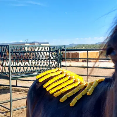 Horse Back Mapper – Dụng cụ đo biên dạng lưng ngựa để canh yên