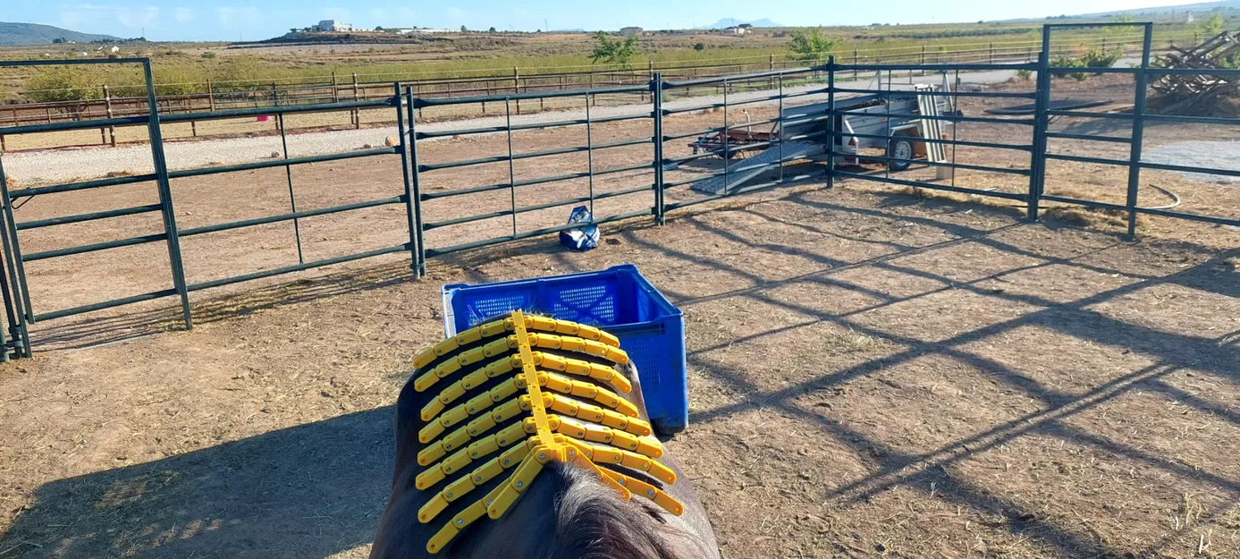 Horse Back Mapper – Dụng cụ đo biên dạng lưng ngựa để canh yên - Image 3