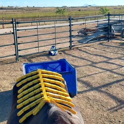 Horse Back Mapper – Dụng cụ đo biên dạng lưng ngựa để canh yên