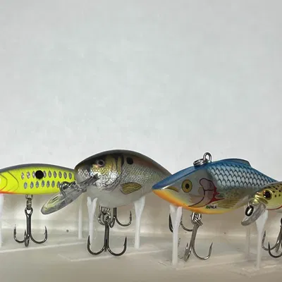 Chân đế trưng bày mồi câu cá 3D - Nhanh, gọn, đẹp