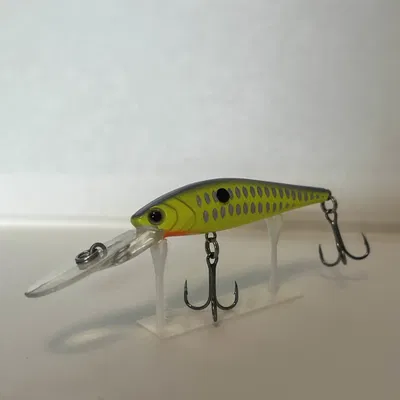 Chân đế trưng bày mồi câu cá 3D - Nhanh, gọn, đẹp