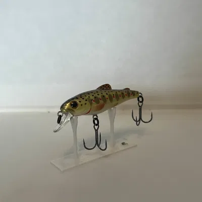 Chân đế trưng bày mồi câu cá 3D - Nhanh, gọn, đẹp