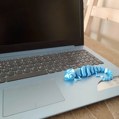 Articulated Chameleon – Tắc kè hoa khớp nối, mắt chuyển động 6