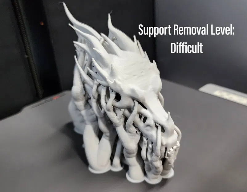 Tượng Đầu Rồng Khung Xương Nghệ Thuật 3D - Image 7