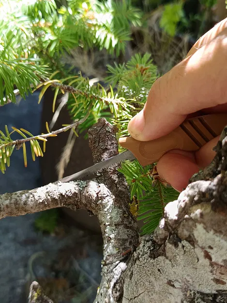 Cưa Bonsai (Bonsai Saw) - Image 2