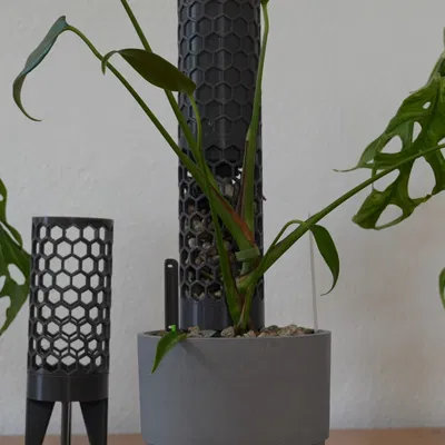 Moss pole modular kèm phụ kiện tưới và 2 loại đế